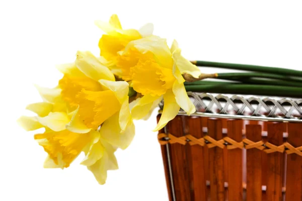 Flores de primavera em uma cesta — Fotografia de Stock