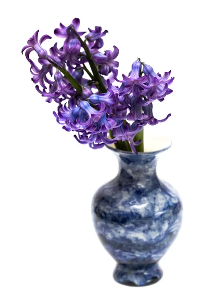 Фіолетові квіти у синій вазі — стокове фото