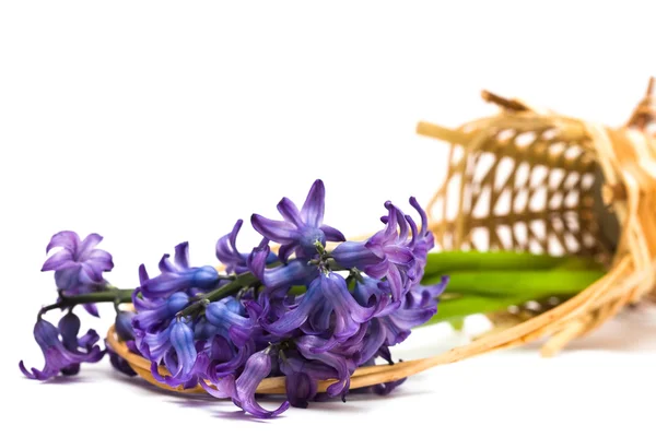 Flores de primavera em uma cesta — Fotografia de Stock