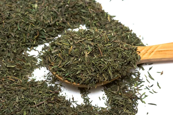 Spice of thyme isolated — Stok fotoğraf