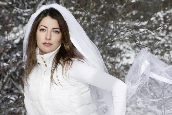 Mariée en hiver près de l'arbre — Photo
