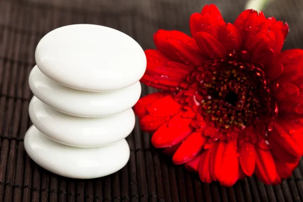Spa essentials (stones with flower) — Stock Photo, Image