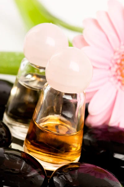 Spa essentials (stones with flower and bottles of oil) — Stock Photo, Image