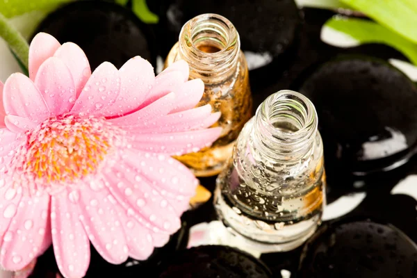 Spa essentials (kamienie z kwiatów i butelki oleju) — Zdjęcie stockowe