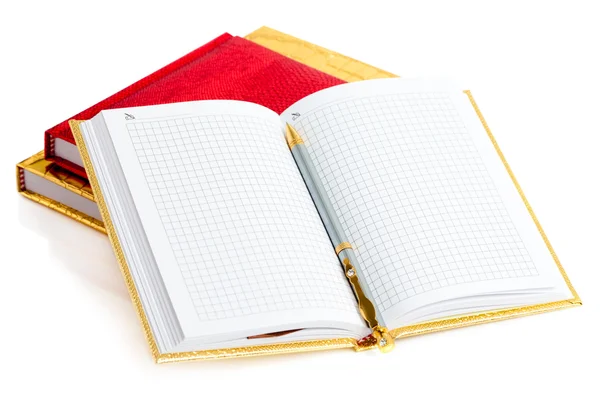 Caderno dourado com caneta de prata — Fotografia de Stock