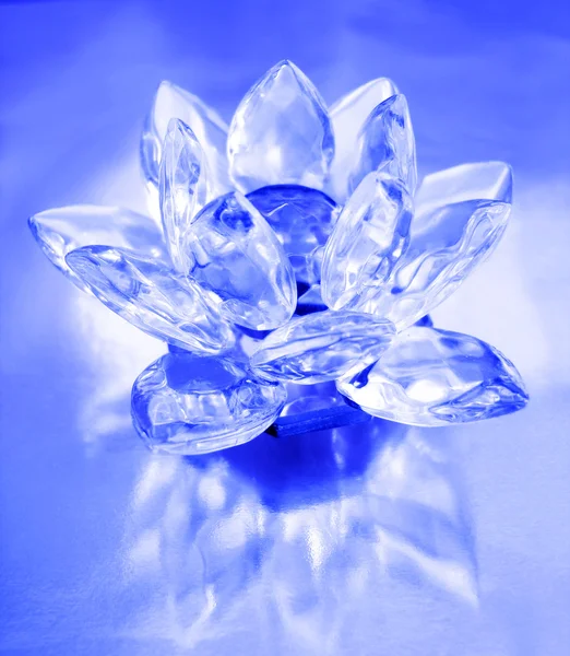 Diamant fleur sur fond bleu — Photo