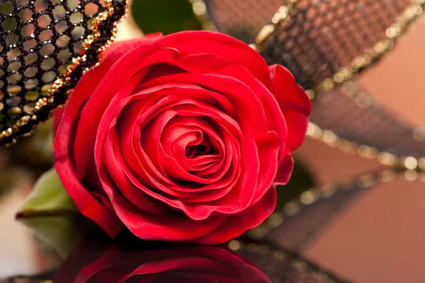Rosa rossa con nastro dorato — Foto Stock
