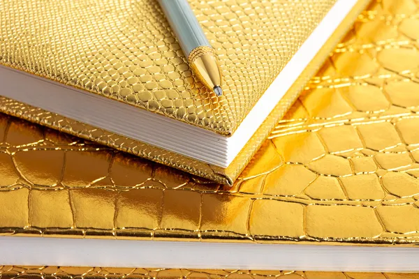 Золотые блокноты с серебряной ручкой — стоковое фото