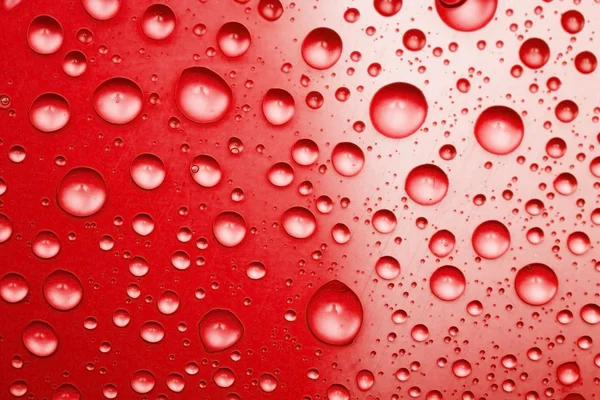 Rood water druppels voor achtergrond — Stockfoto