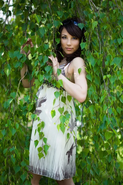 Vacker flicka i en birchwood — Stockfoto