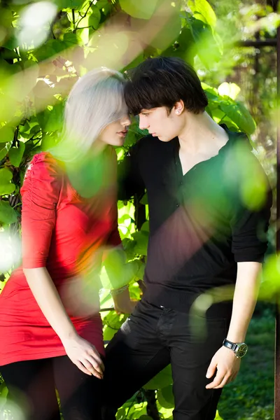 stock image Couple - girl and guy on the nature