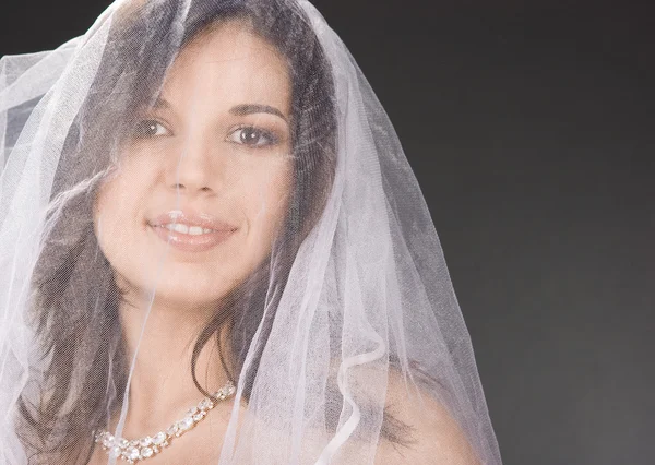 Braut im schönen weißen Schleier — Stockfoto