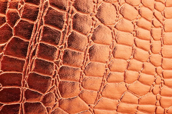 Grunge texture in pelle per lo sfondo — Foto Stock