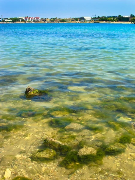 Sea with rocks on a beach — Stock Photo, Image