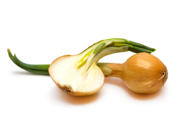 Zwiebeln isoliert auf weißem Hintergrund — Stockfoto