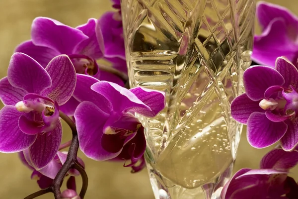 Copo com champanhe e orquídea — Fotografia de Stock