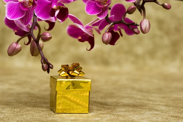 Caixa de presente com orquídea roxa — Fotografia de Stock