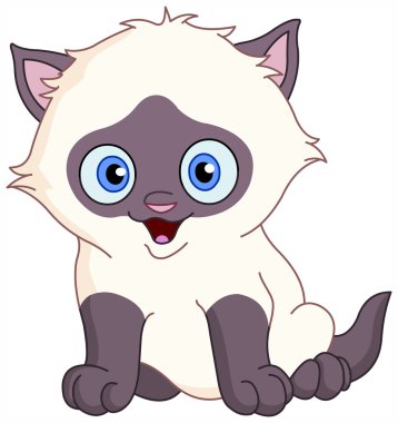 Siamese kitten clipart