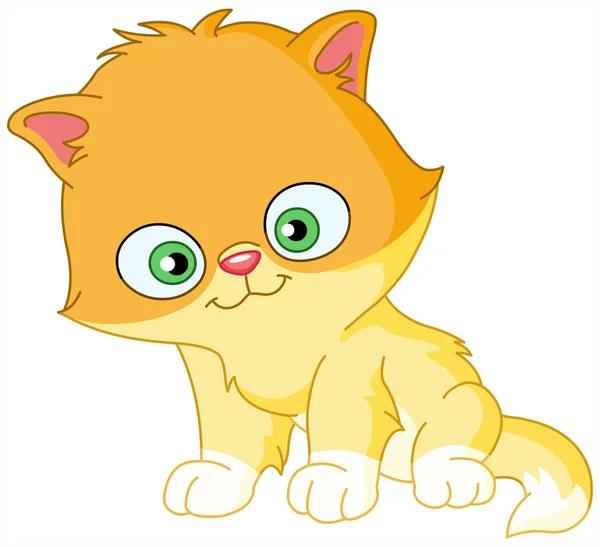 Persian kitten — Stock Vector