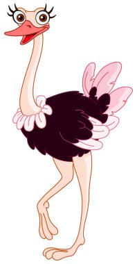 Ostrich clipart