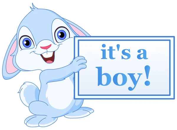 Baby bunny boy — Stock Vector