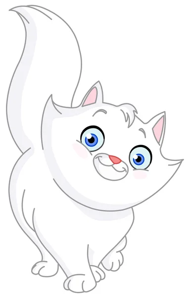 Bílá kočka — Stockový vektor