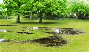 yeşil park