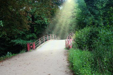 yeşil park