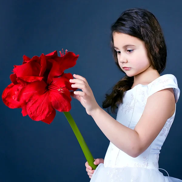 Mooie dromen meisje met heldere rode bloem — Stockfoto