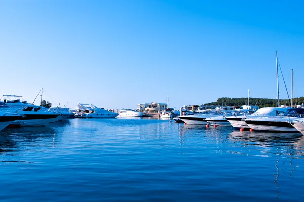 stock image Luxury yachts in sea port