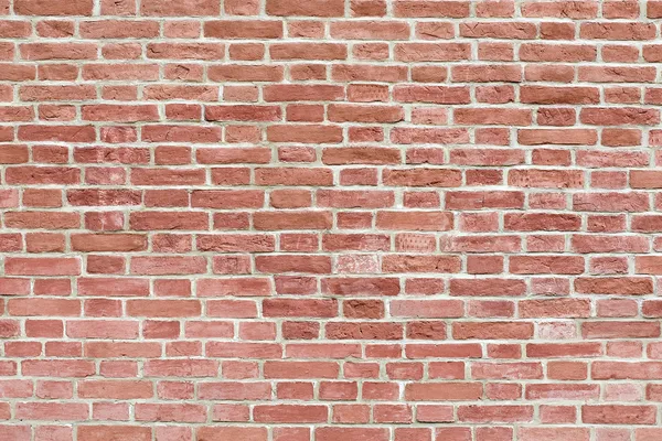 レンガの壁のクローズ アップ — ストック写真