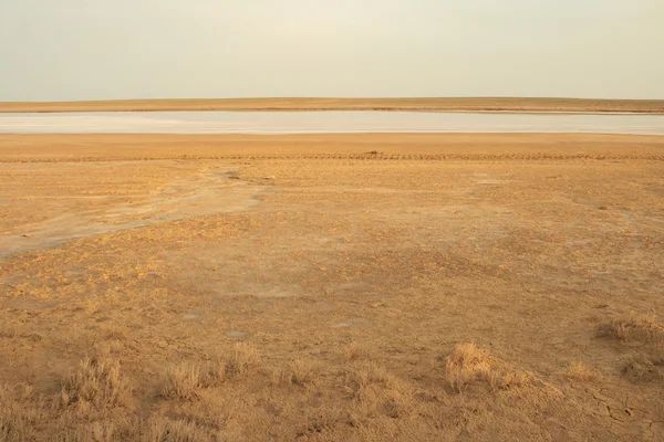 stock image STEPPE