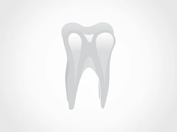 Frisk tand isolerad på vit — Stock vektor