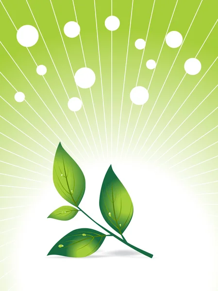 Zelený rostlinný list a mlha, vektor — Stockový vektor