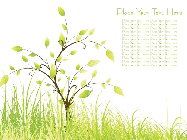Yeşil çayır ve örnek metin, vektör — Stok Vektör
