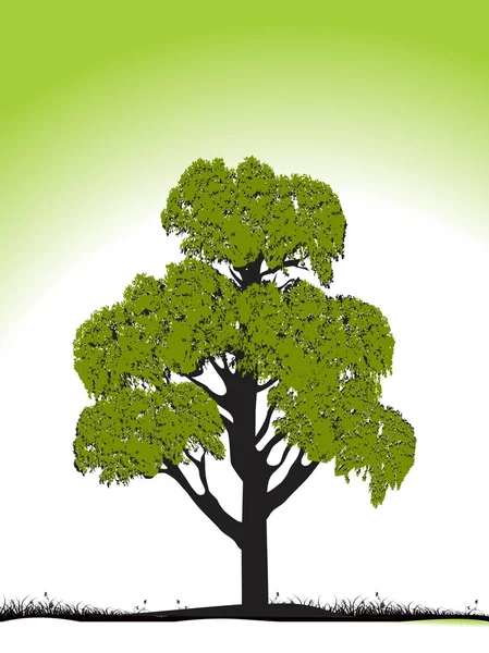 Groene boom op groene tuin — Stockvector
