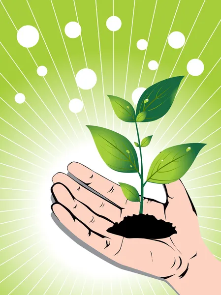 Вирощування зеленої рослини в руці, вектор — стоковий вектор