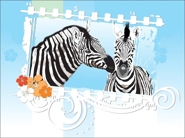 Floral frame with zebra couple — Stock Vector