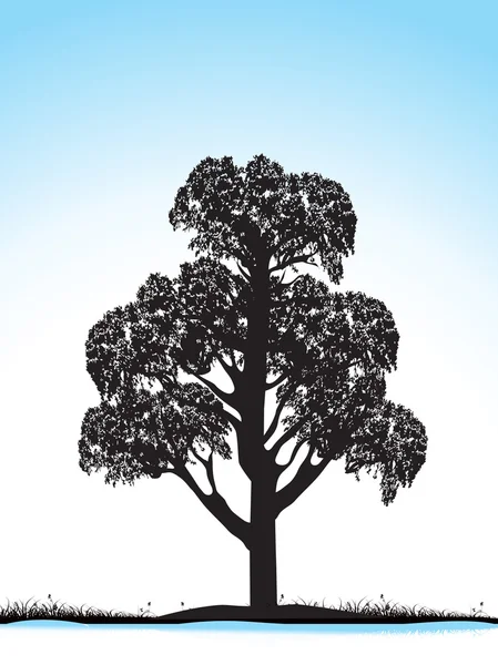 Silueta de árbol aislado en azul — Vector de stock