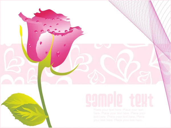 Valentine rose flower with dew, — Stock Vector