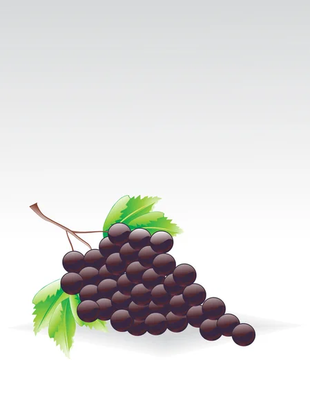 Fondo con grappolo d'uva — Vettoriale Stock