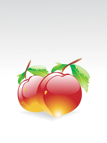 Isoliert glänzende Aprikose mit Blatt — Stockvektor