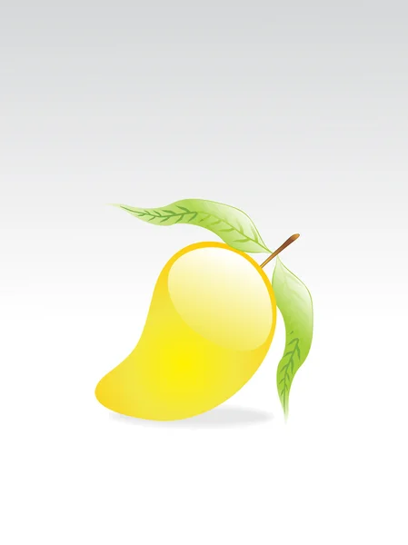 Wektor owoce mango i liść — Wektor stockowy