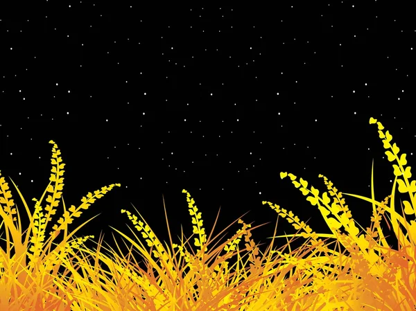 夜背景上孤立绿草 — 图库矢量图片