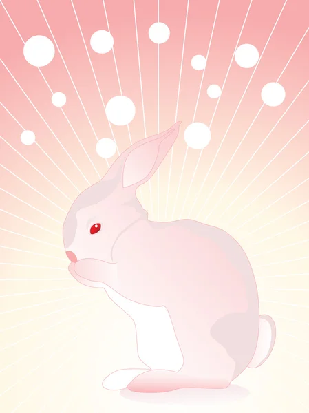 背景を持つ単一のウサギ — ストックベクタ