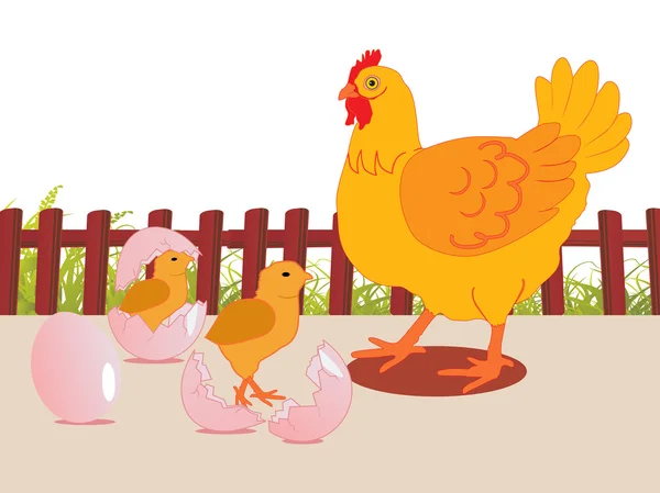 Fond avec bite, poulet — Image vectorielle