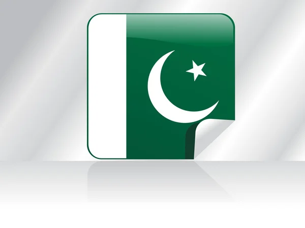 Pozadí s izolovanou vlajka Pákistánu — Stockový vektor