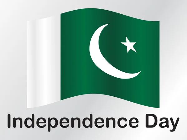 Прапор Пакистану, на тлі — стоковий вектор