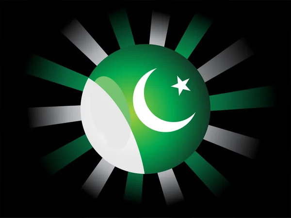 射线背景与巴基斯坦国旗图标 — 图库矢量图片