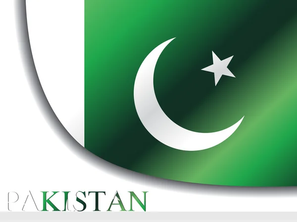 巴基斯坦国旗的插图 — 图库矢量图片